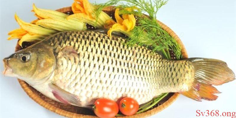 Mơ về con cá chép khổng lồ