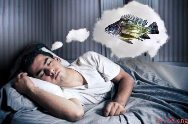 mơ thấy cá rô Tại sao chúng ta mơ thấy con cá rô?