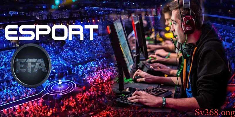 Cá cược e-sport ae888 tại nhà cái sv368 hot nhất 2025 5 Kinh nghiệm cá cược e-sport ae888