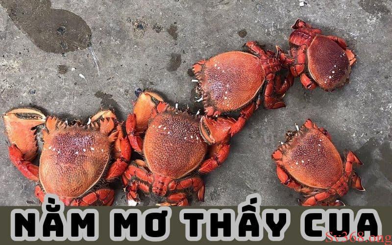 Tìm hiểu mơ thấy cua