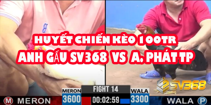 A Gấu SV368 vs A Phát T.Phố | Huyết Chiến Kèo 100 Triệu 2 A Gấu SV368 vs A Phát T.Phố | Huyết Chiến Kèo 100 Triệu